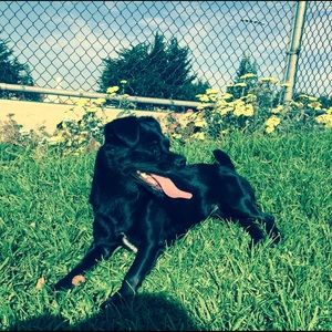 Meet your Posher, Jaime